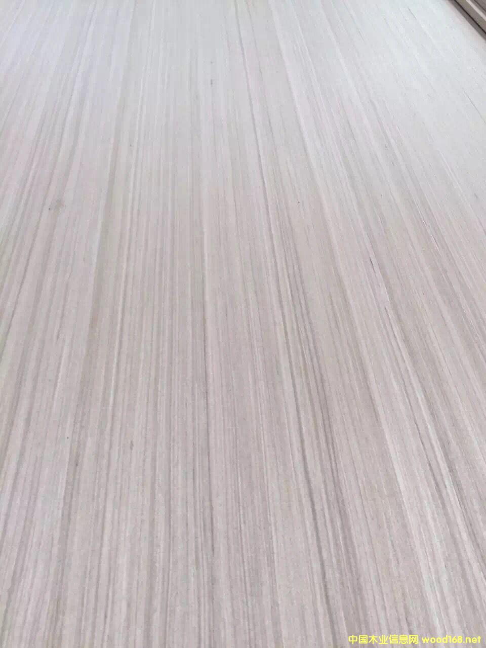 c鿴B18 ľԔY