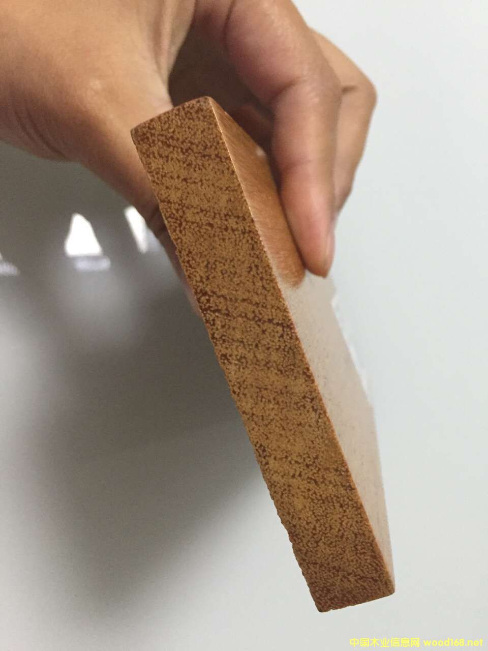 面包樹的詳細(xì)介紹