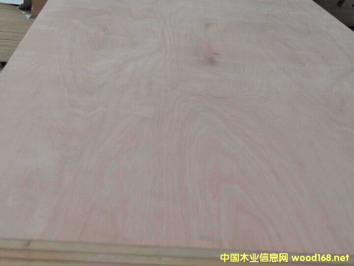 點擊查看多層板、加長多層板,家具級專用多層板,木飾面專用膠合板放大圖片