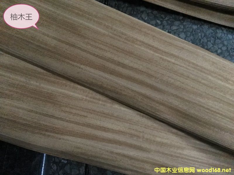 0.6柚木王的詳細介紹