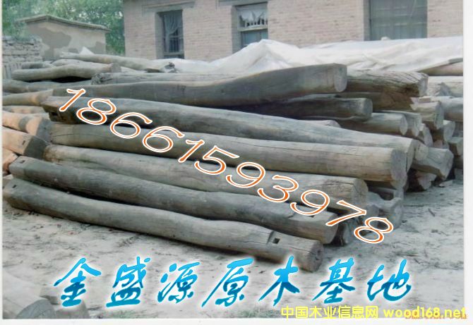 老榆木的詳細介紹