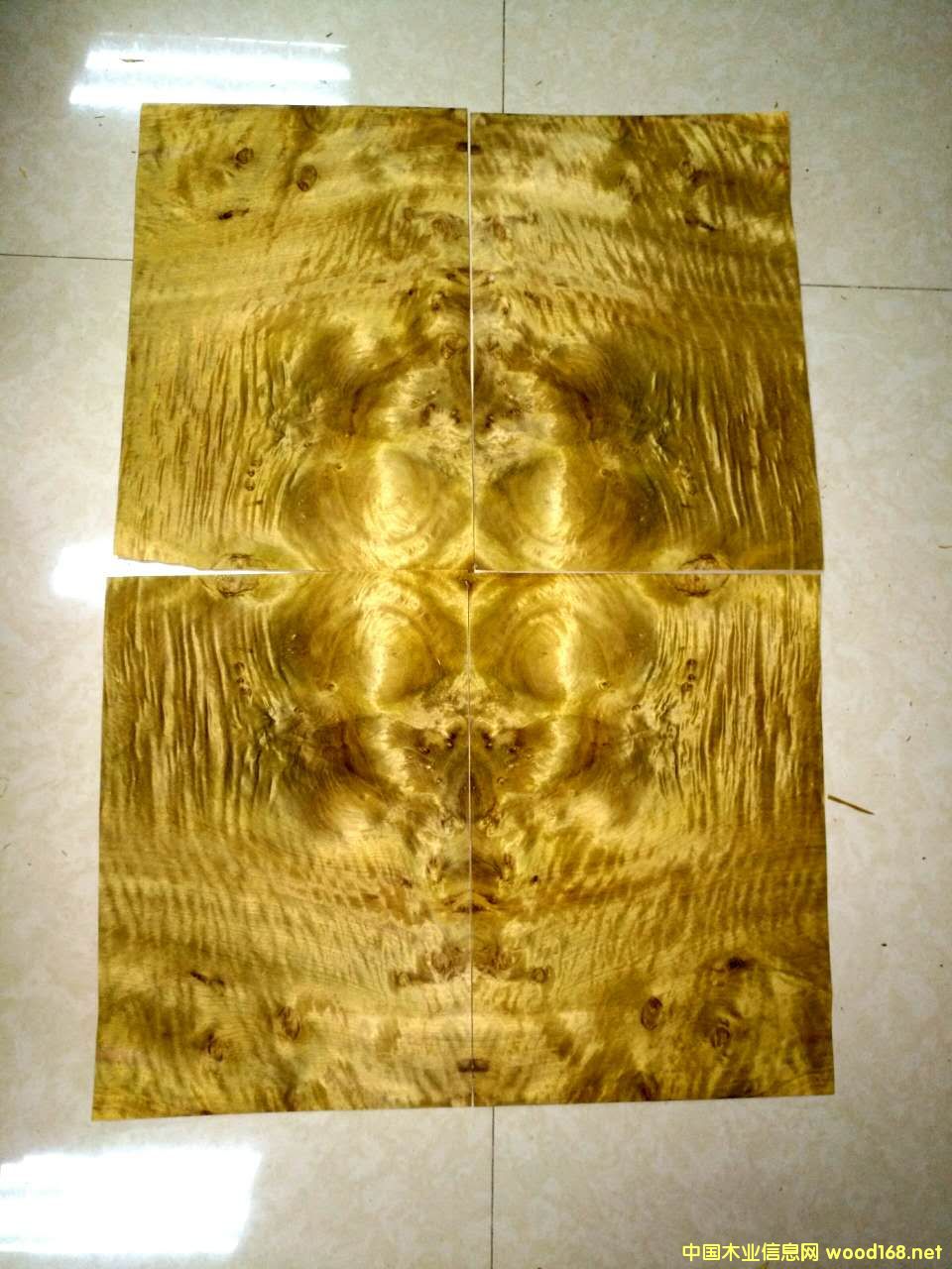 天然金絲楠木皮的詳細介紹