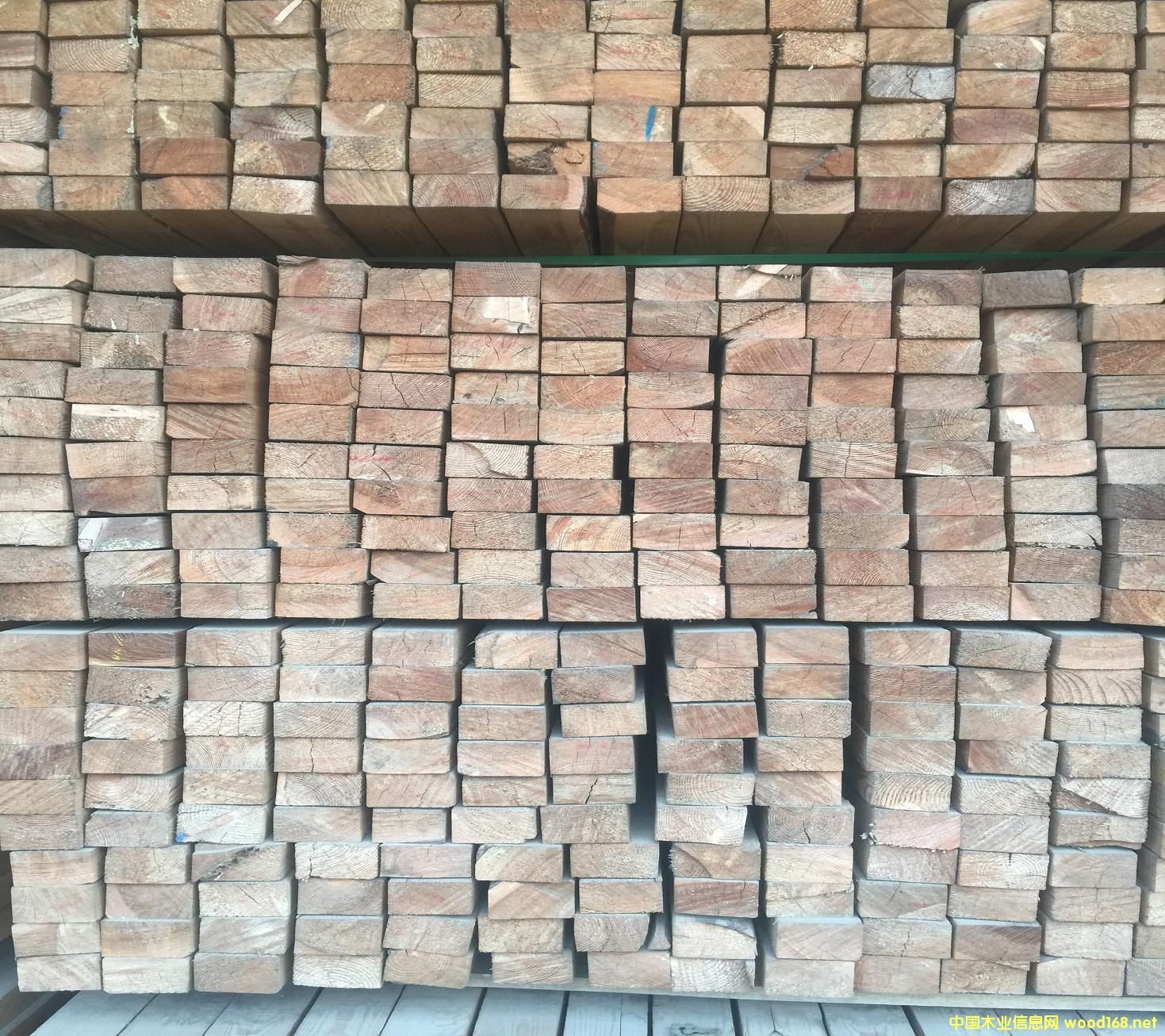 俄羅斯進口落葉松 方木50*80*4000的詳細介紹