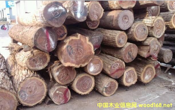 木材市場深度觀察：闊變豆（南美白酸枝）價格腰斬遭遇史上最冷行