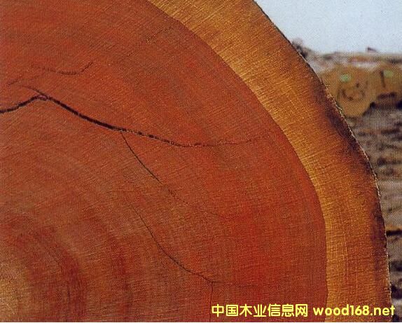 H棺ȫ딵Ƿľӡ W