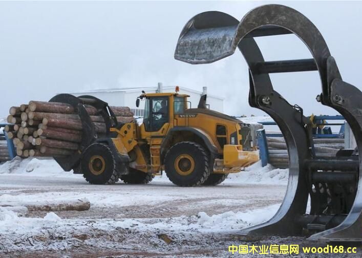 一個木材加工廠，一名員工駕駛車輛運送圓木