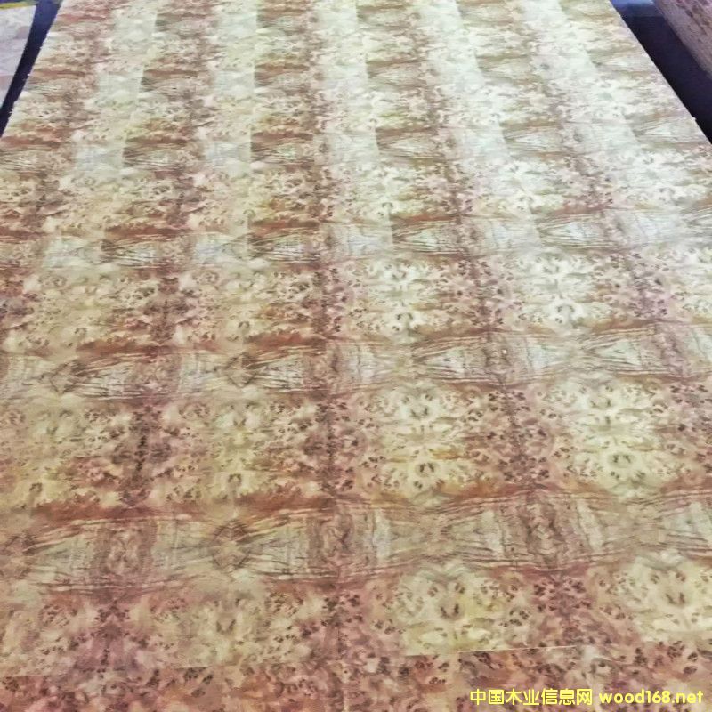 Ȼؘľ