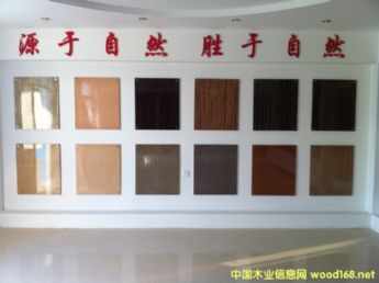 樂晨科技木皮的詳細介紹