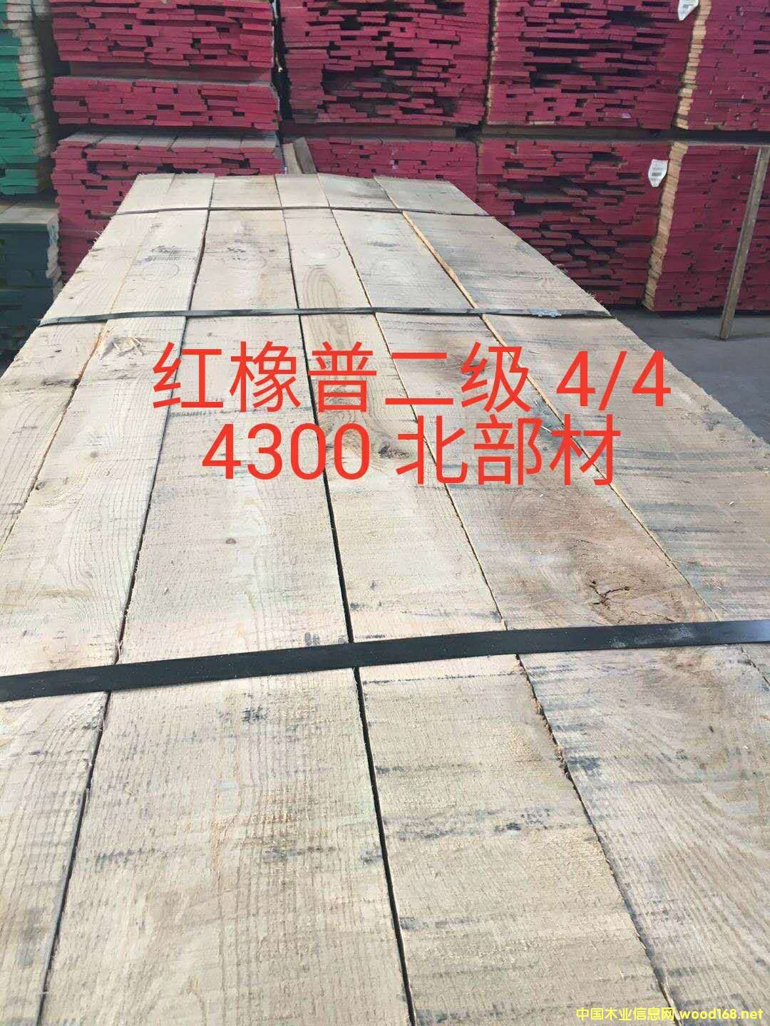 紅橡木的詳細(xì)介紹