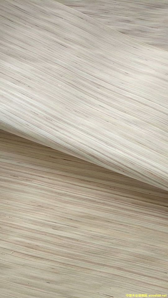 橫紋的詳細介紹