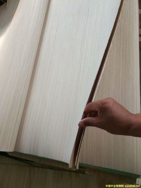 順紋的詳細介紹