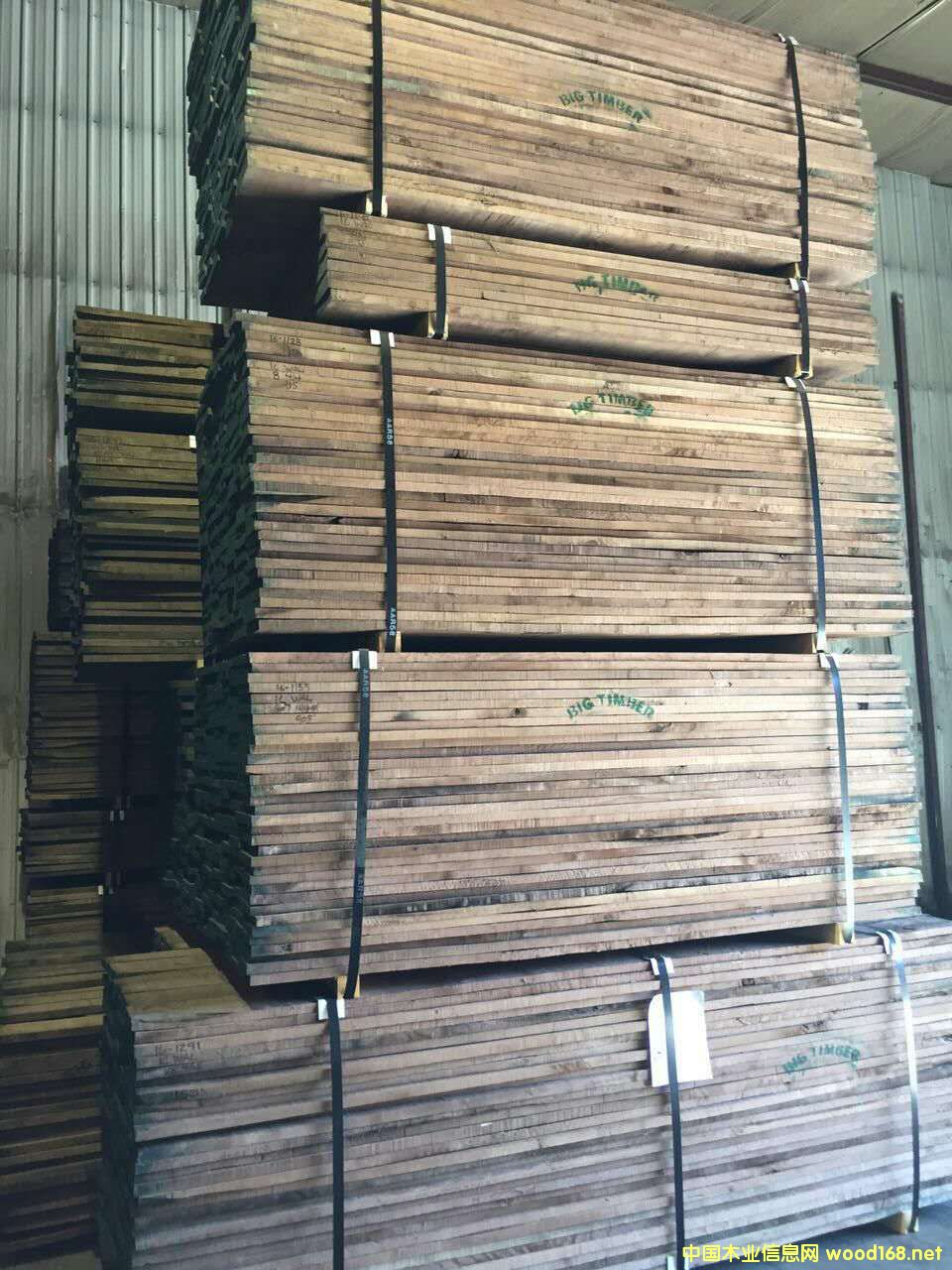 美國黑胡桃的詳細(xì)介紹