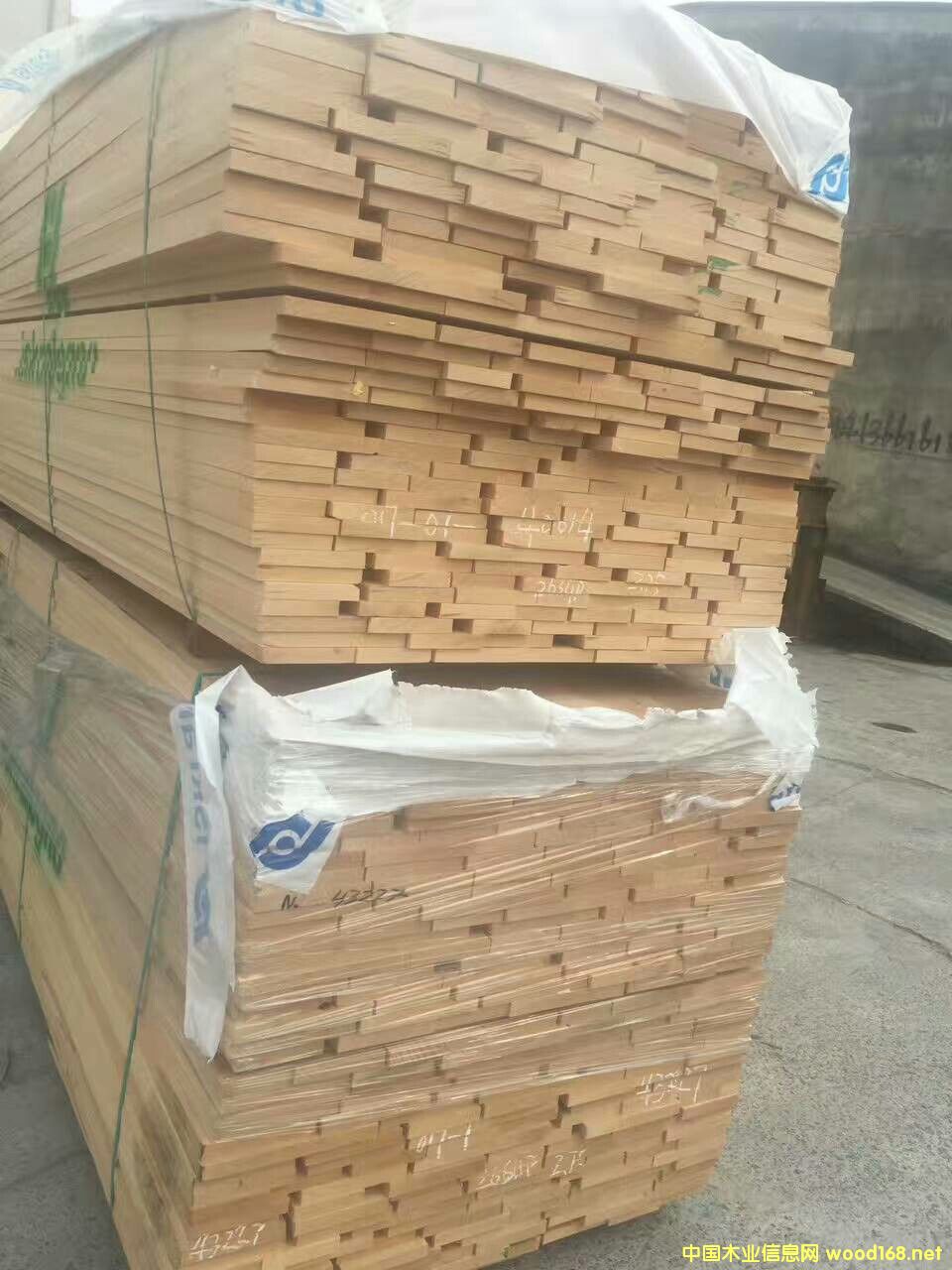 櫸木的詳細介紹