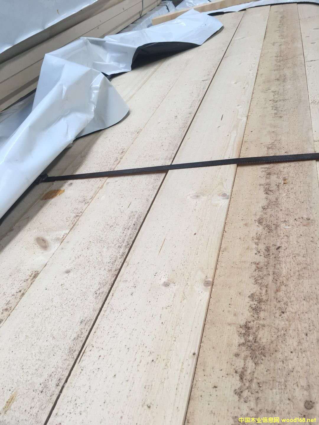的詳細介紹