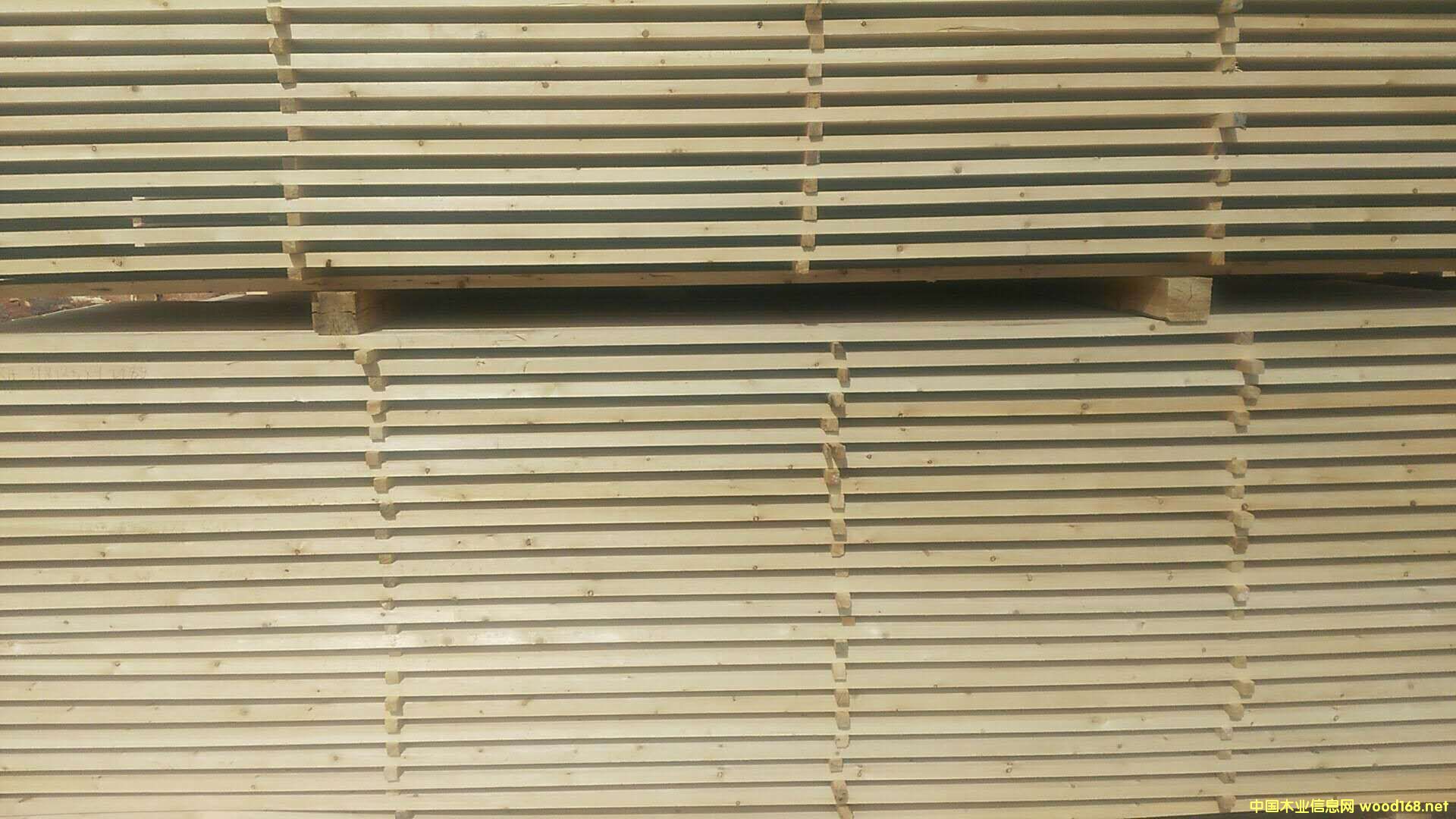 的詳細介紹