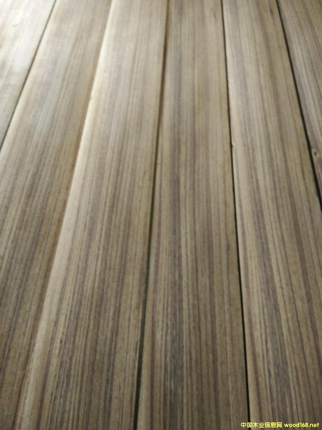 ľԔB