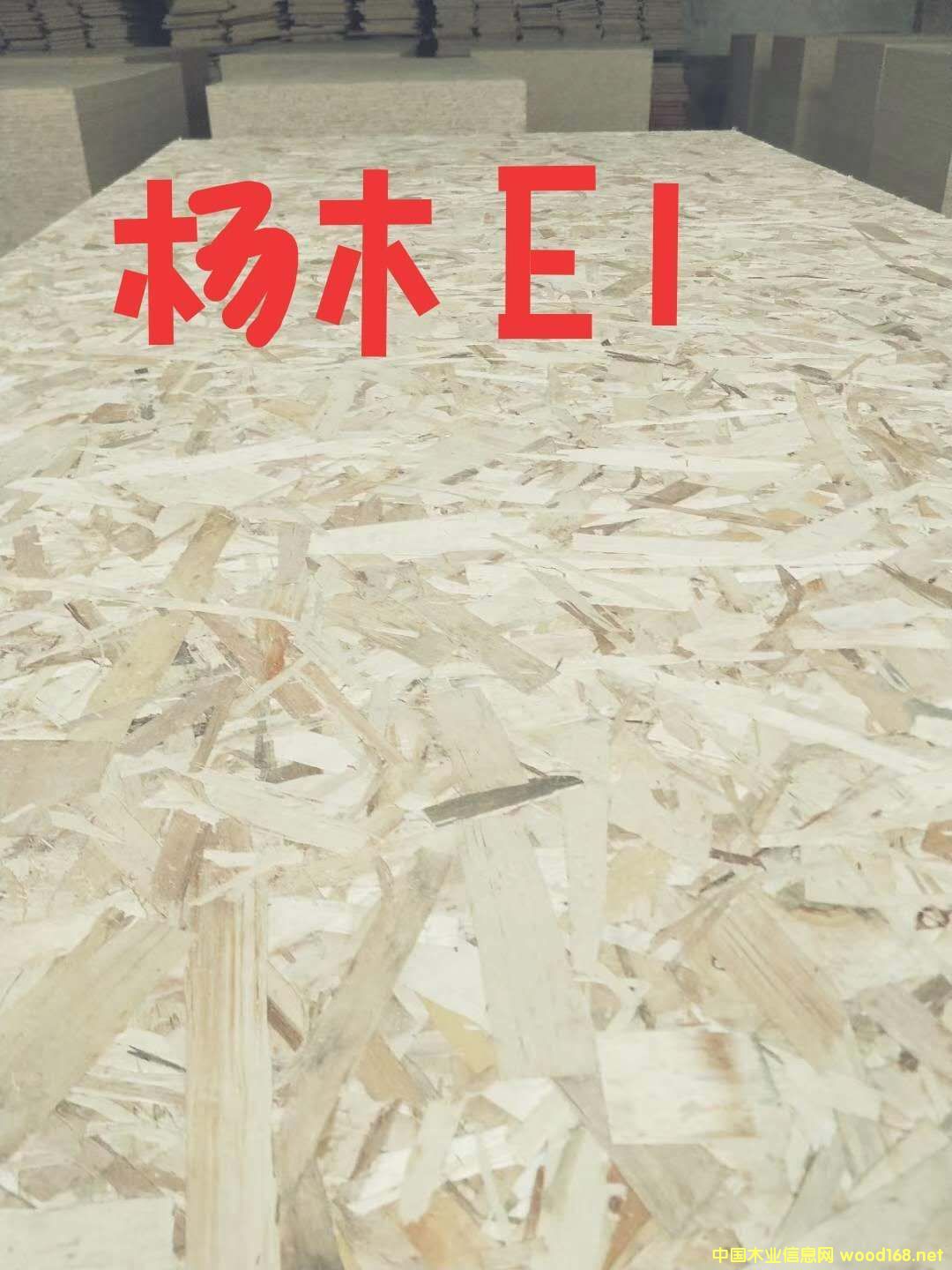 [] OSBWɰaS-ɽ|֮ľI޹˾