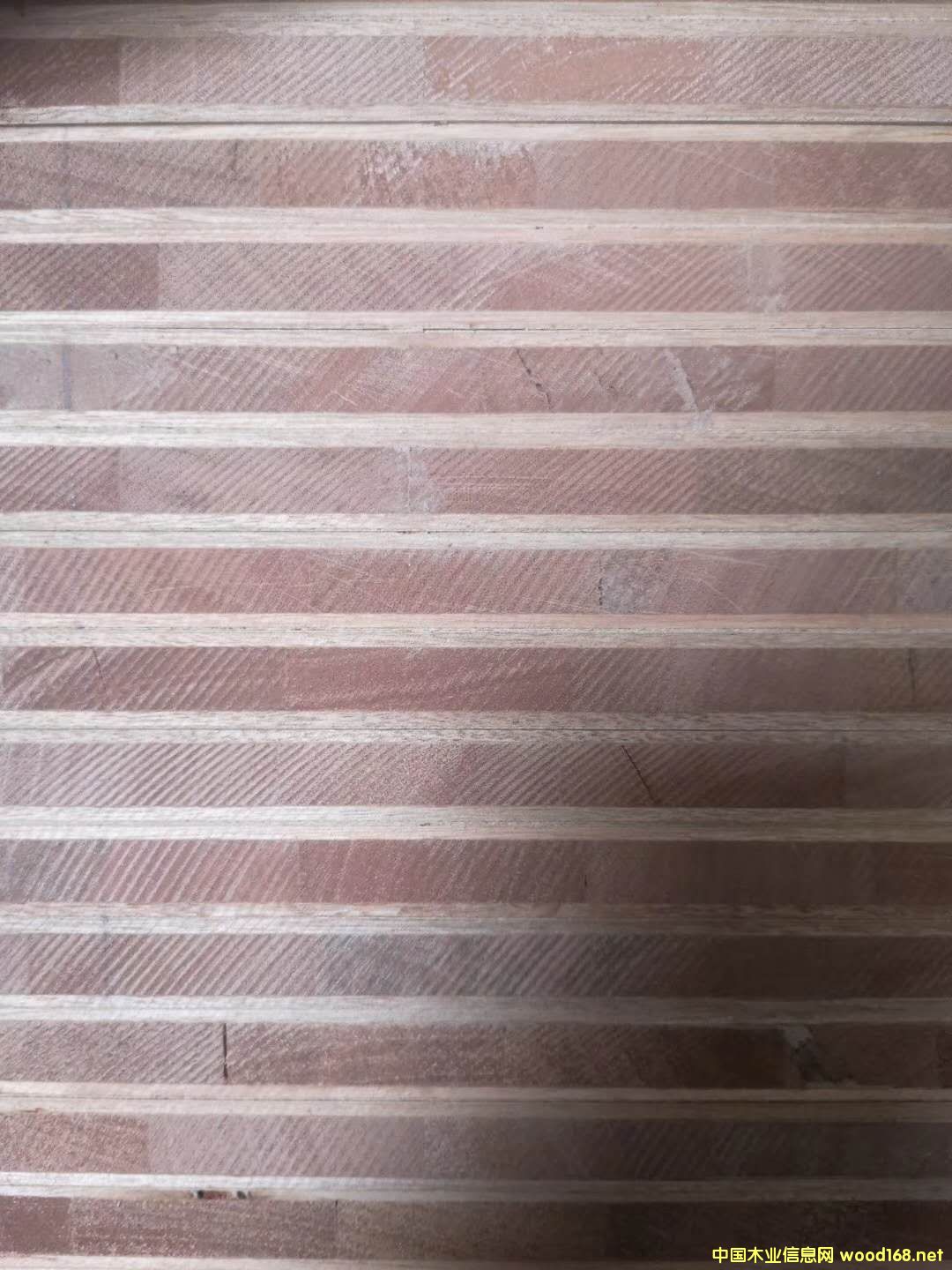 板材的詳細介紹