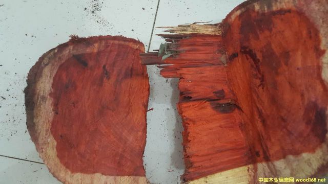 ̴ cam wood