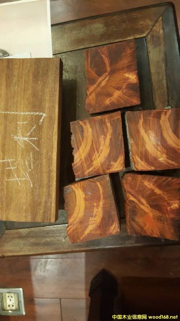 ̴ cam wood