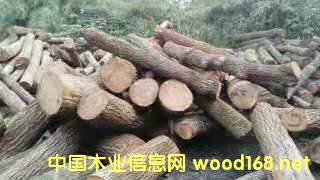 的詳細介紹