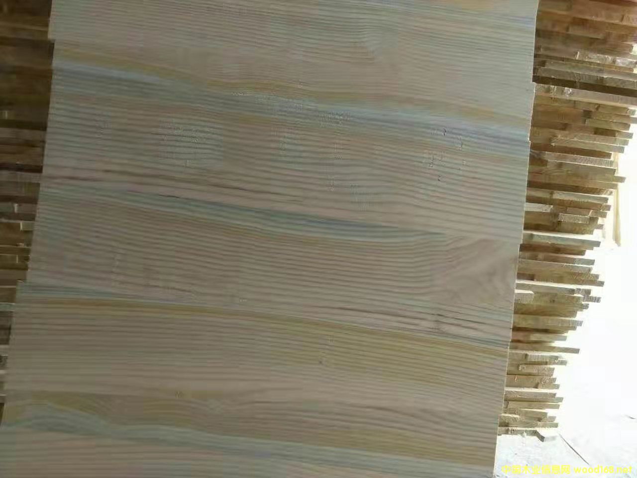 的詳細介紹