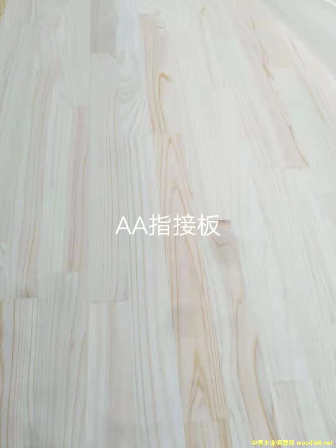 的詳細介紹