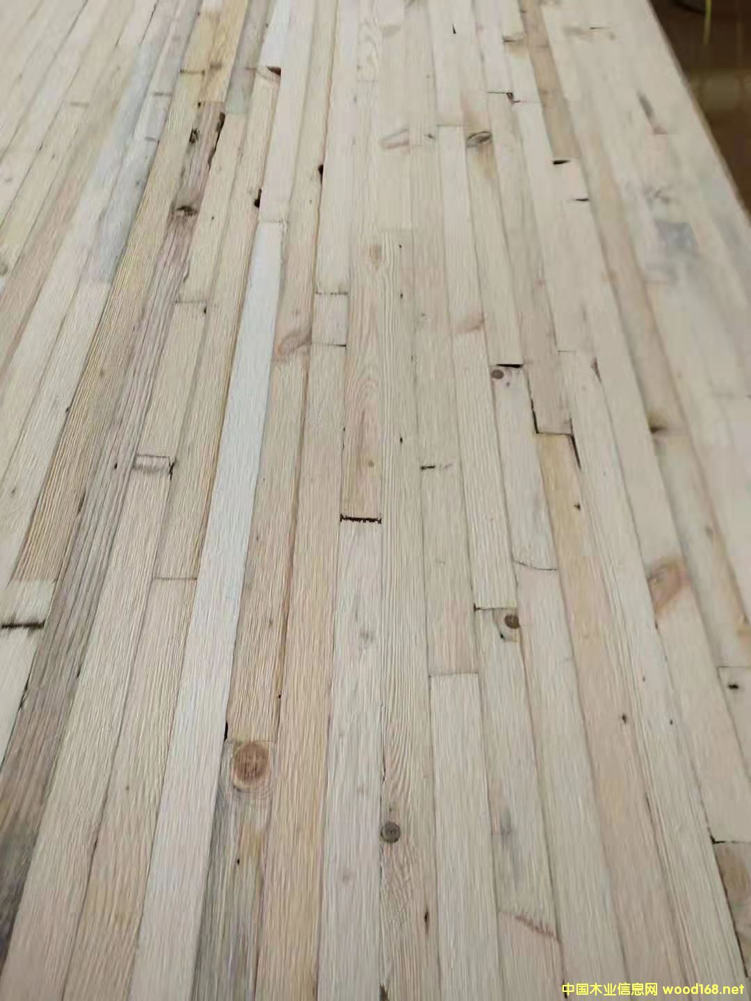的詳細介紹