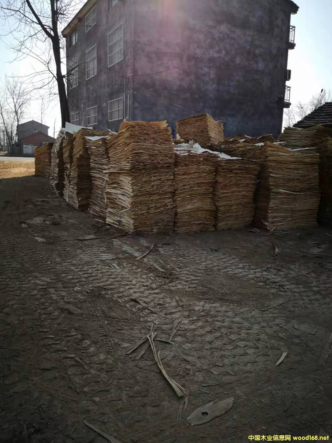ľƤ