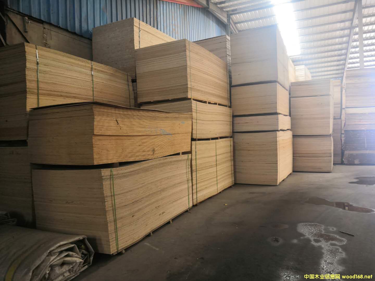 的詳細介紹