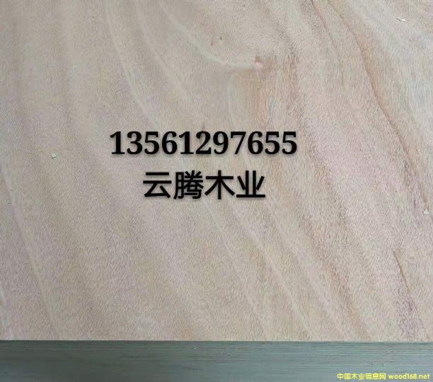 產品的詳細介紹