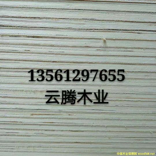 產品的詳細介紹