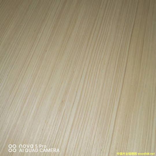 的詳細介紹