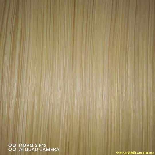 的詳細介紹