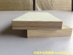 的詳細介紹
