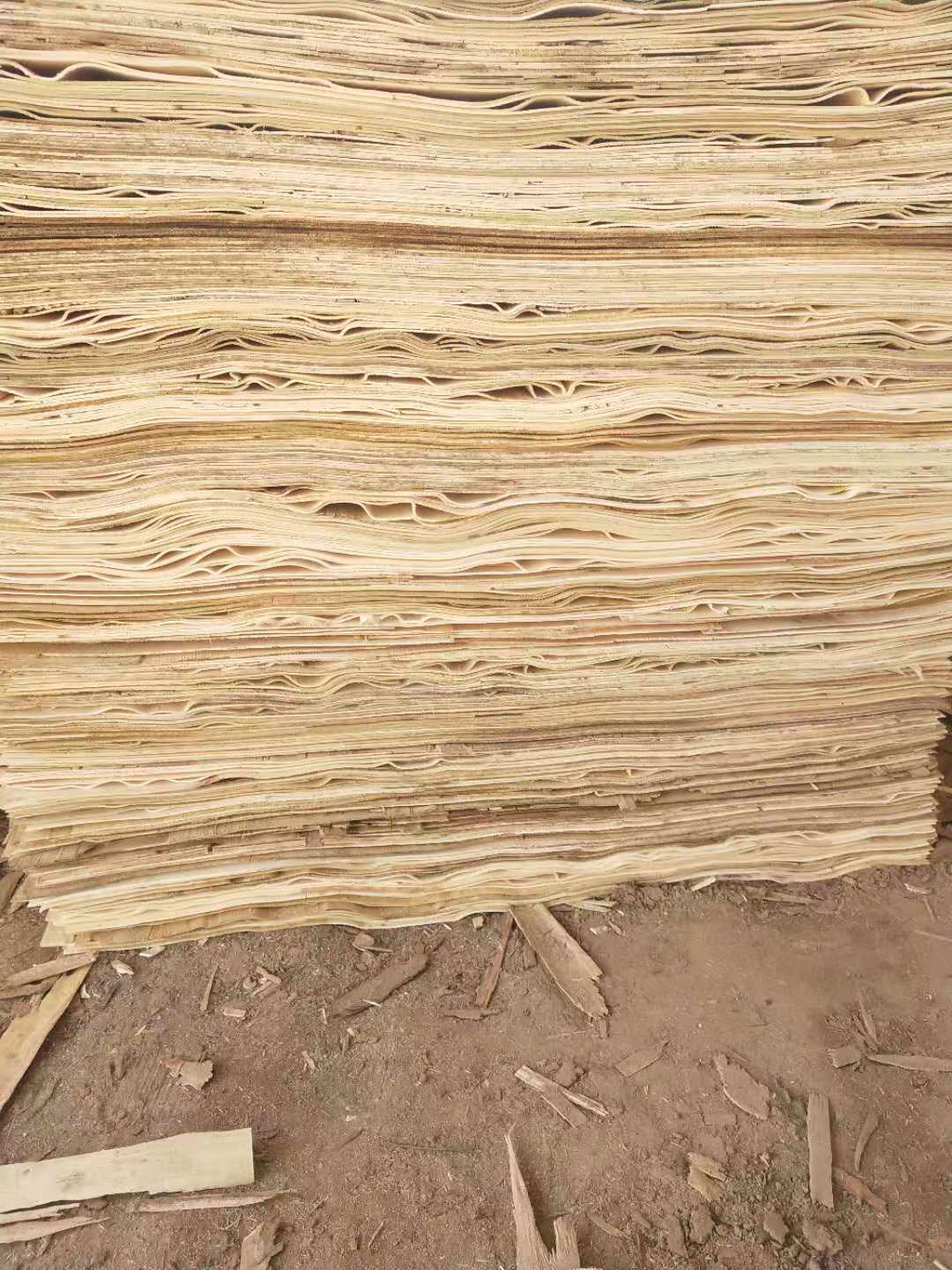 的詳細介紹