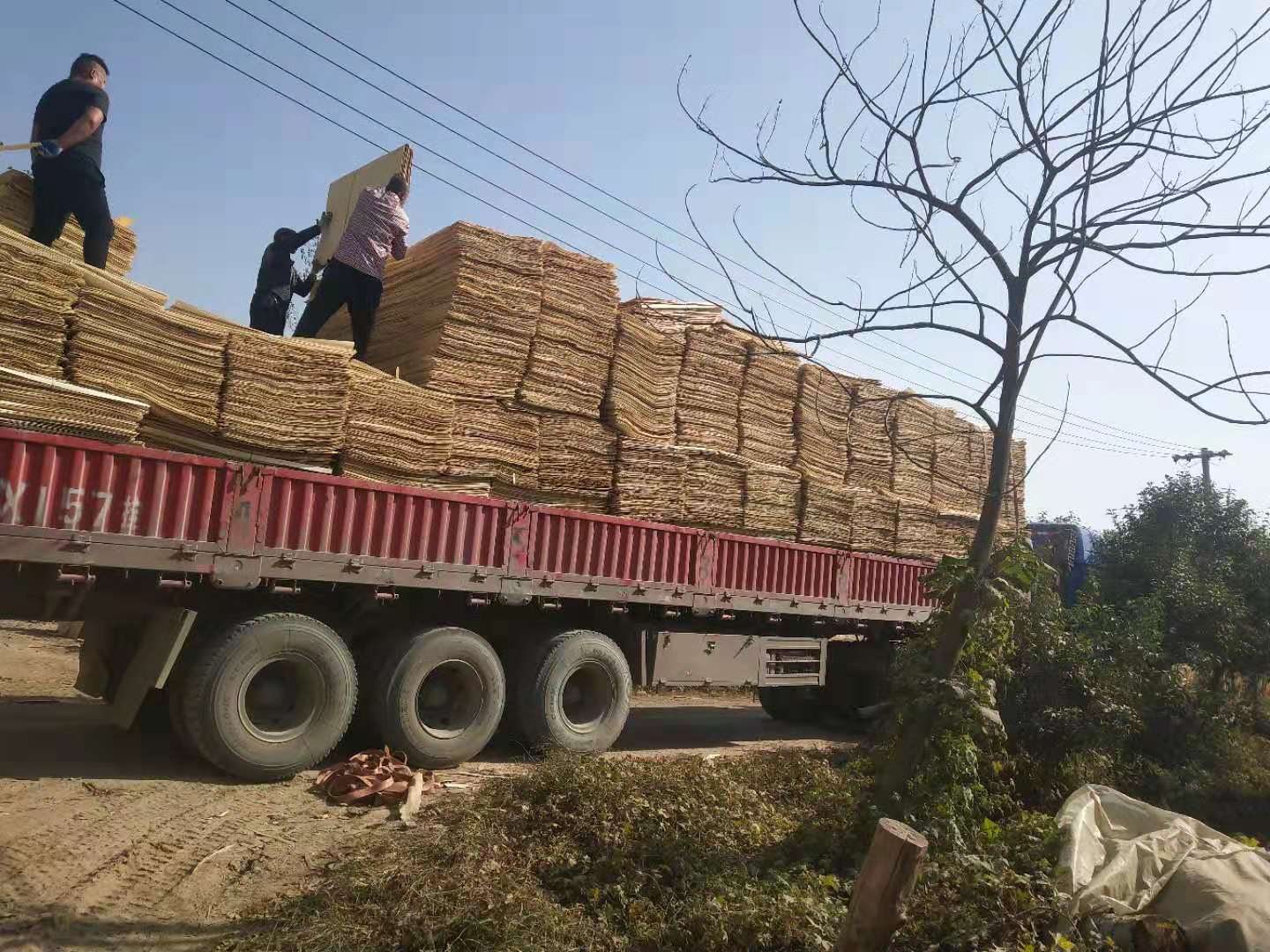 的詳細介紹
