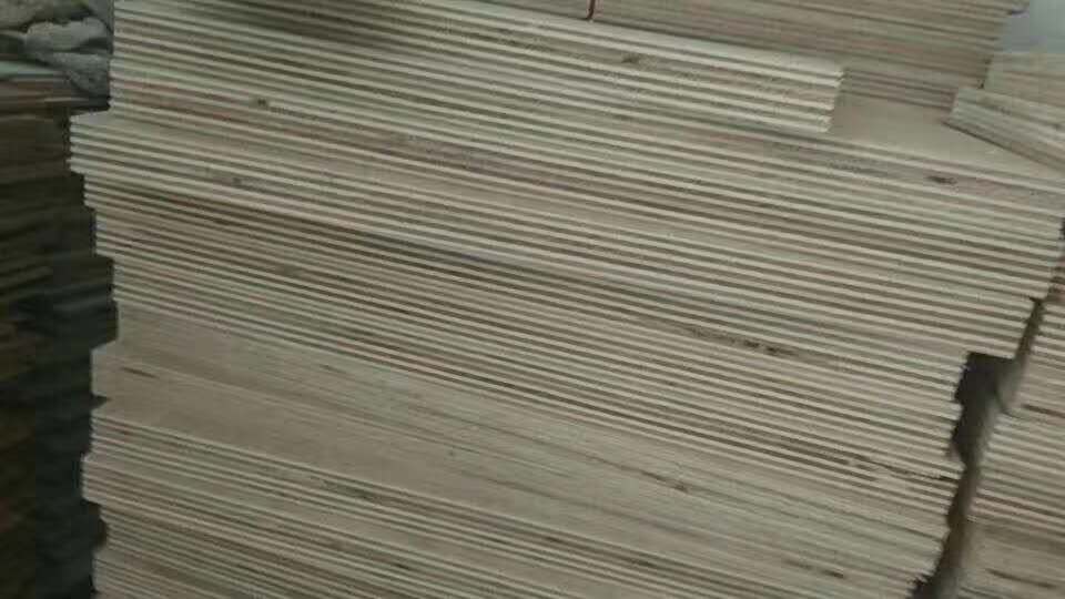 的詳細介紹