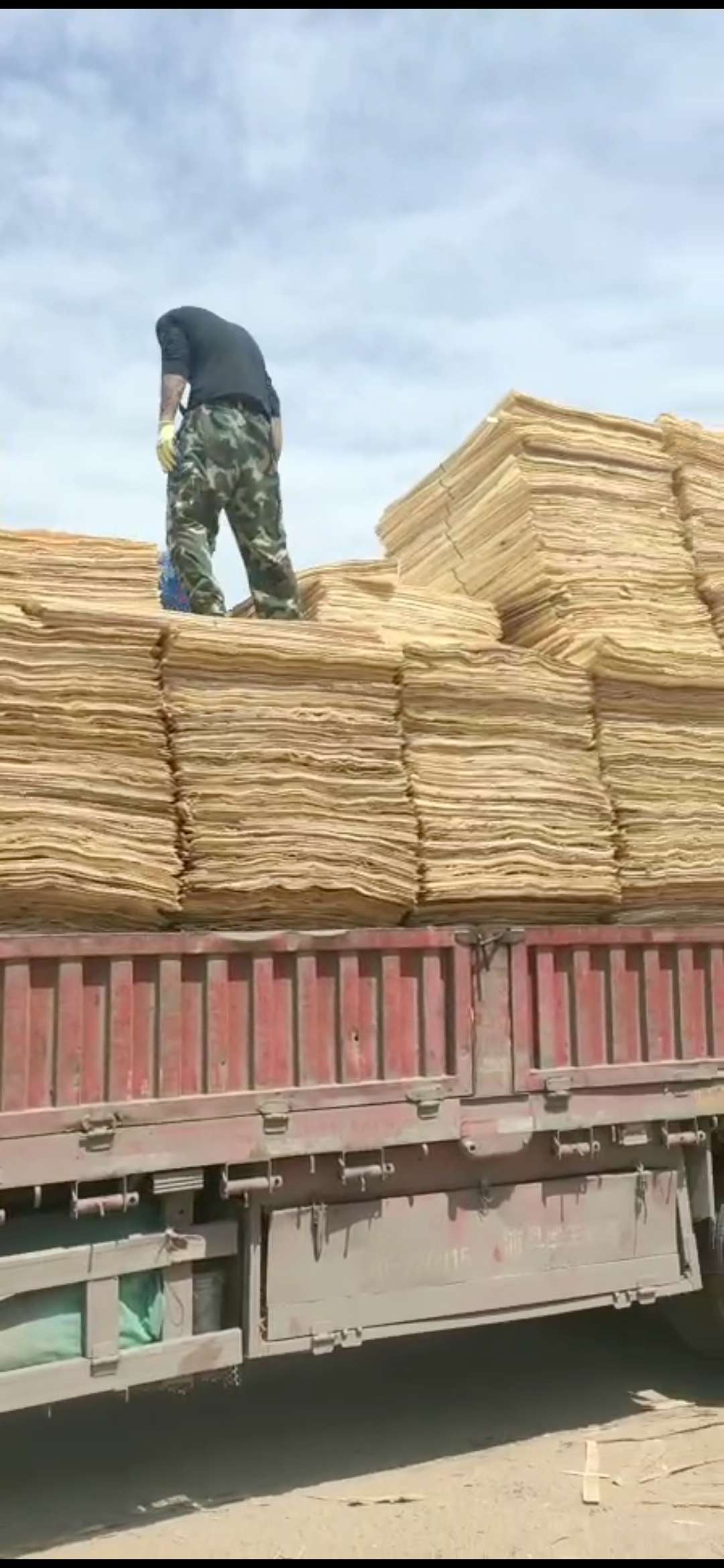 的詳細介紹