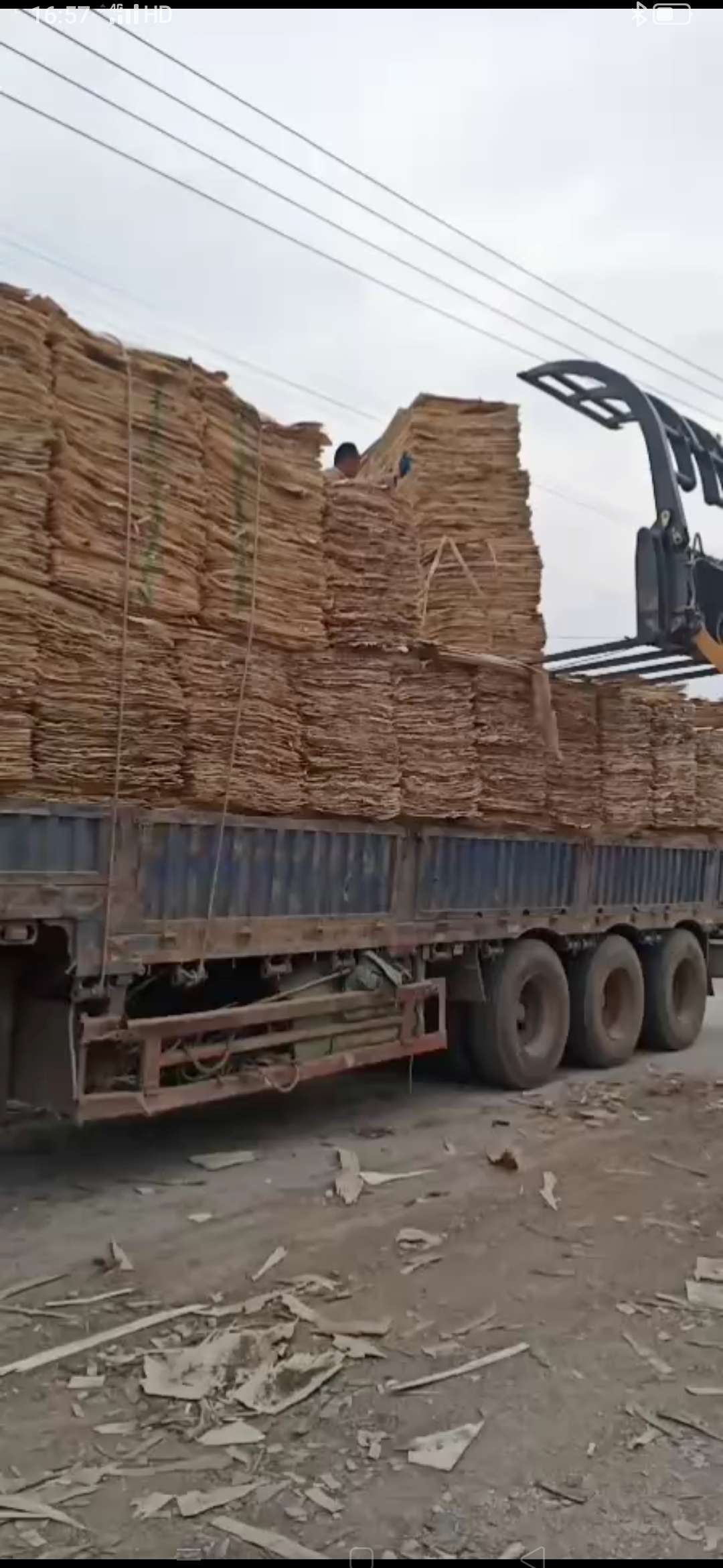 的詳細介紹