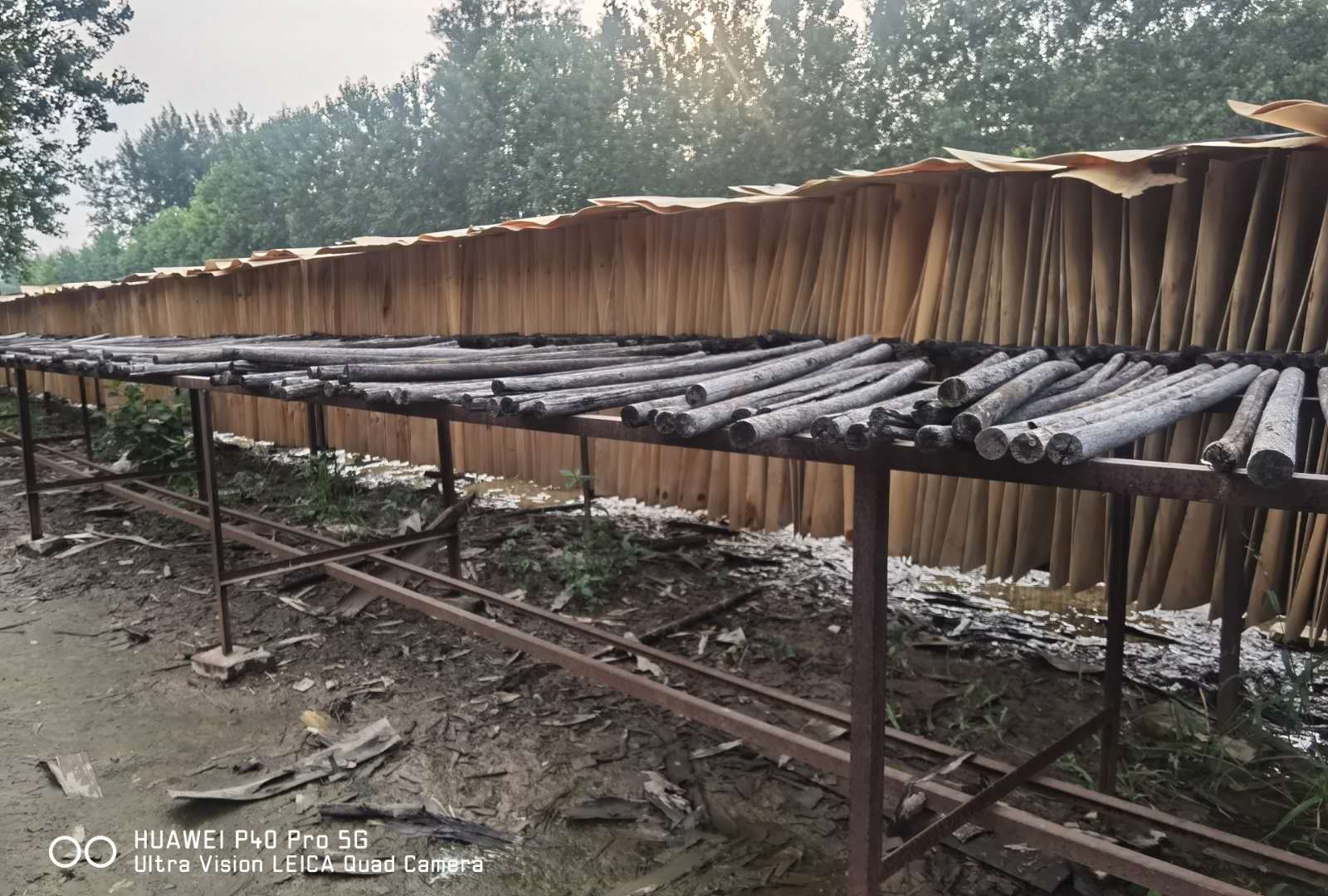 的詳細介紹