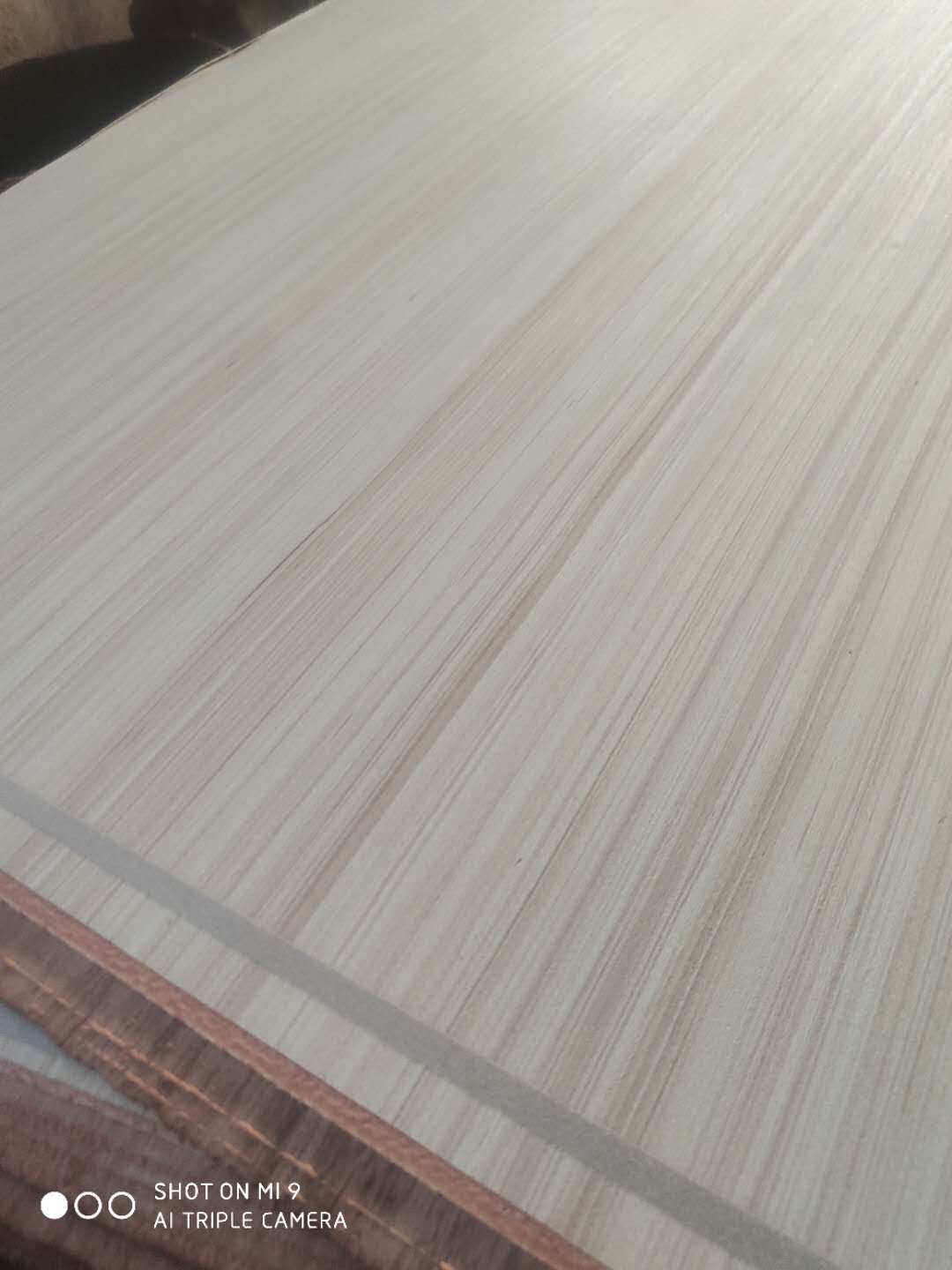 的詳細介紹