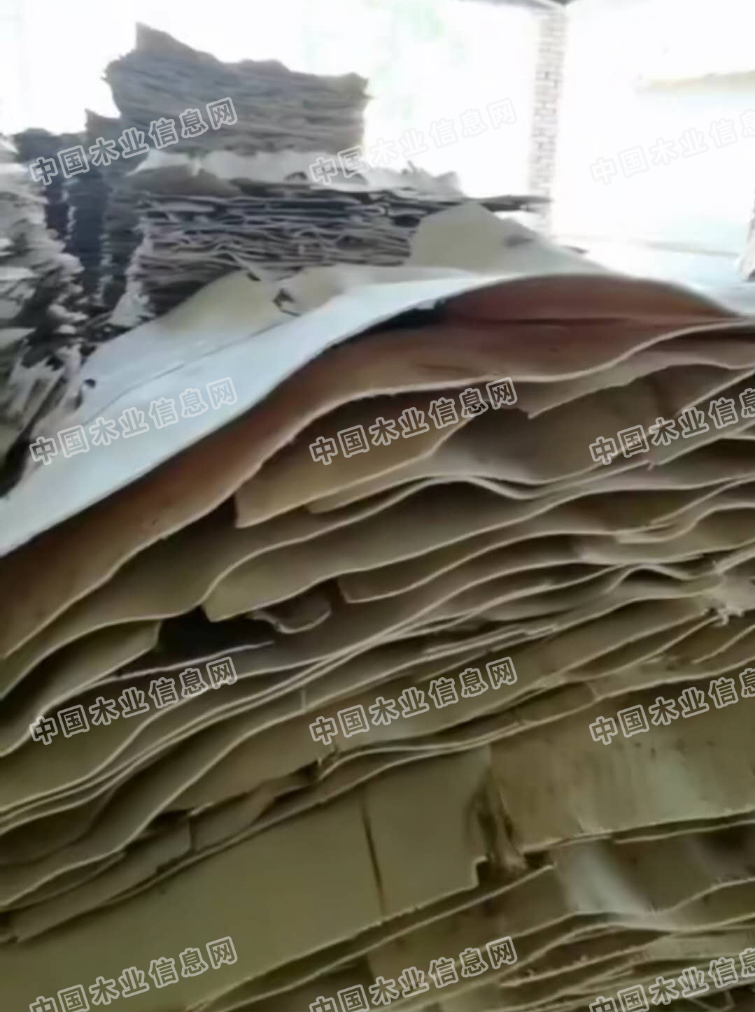 的詳細介紹