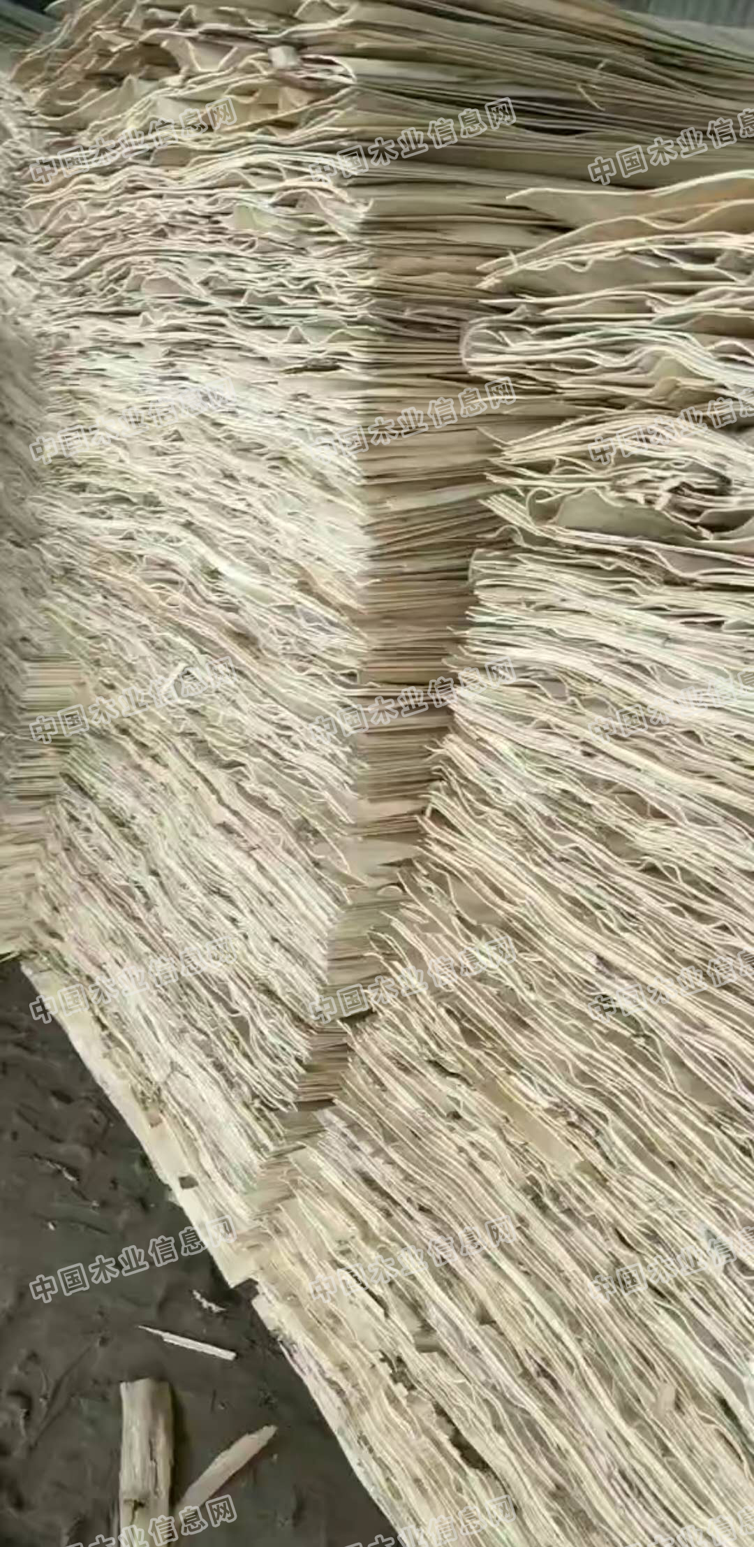 的詳細介紹