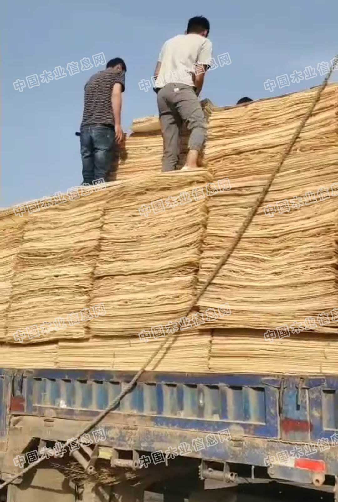 的詳細介紹