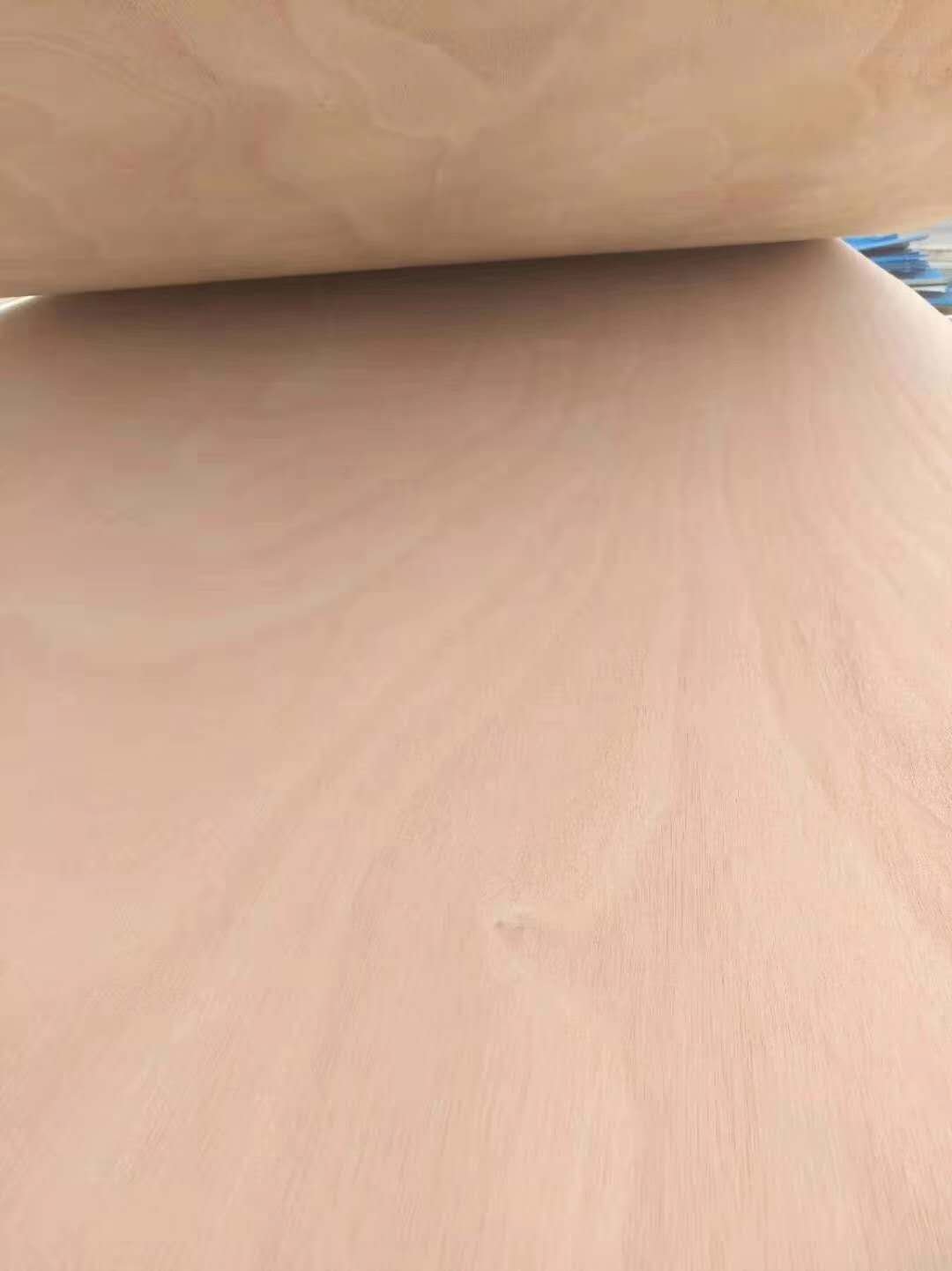 的詳細介紹