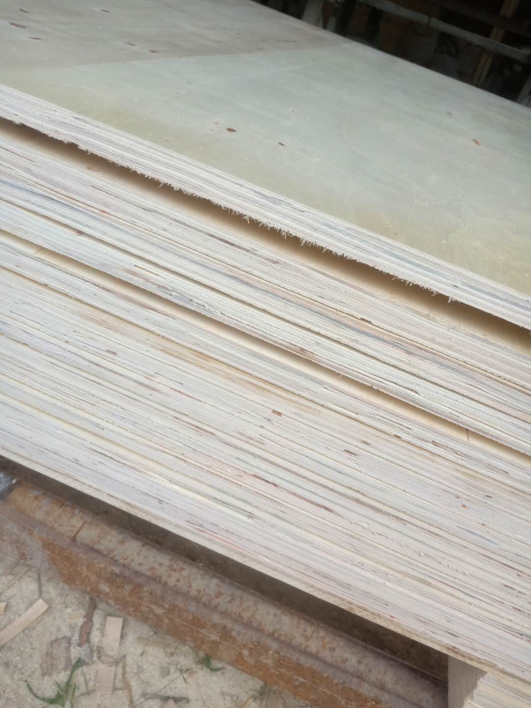 的詳細介紹