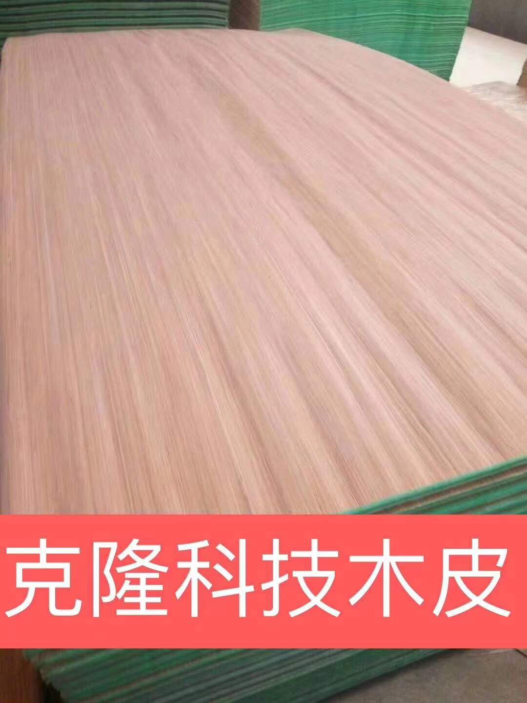 的詳細介紹