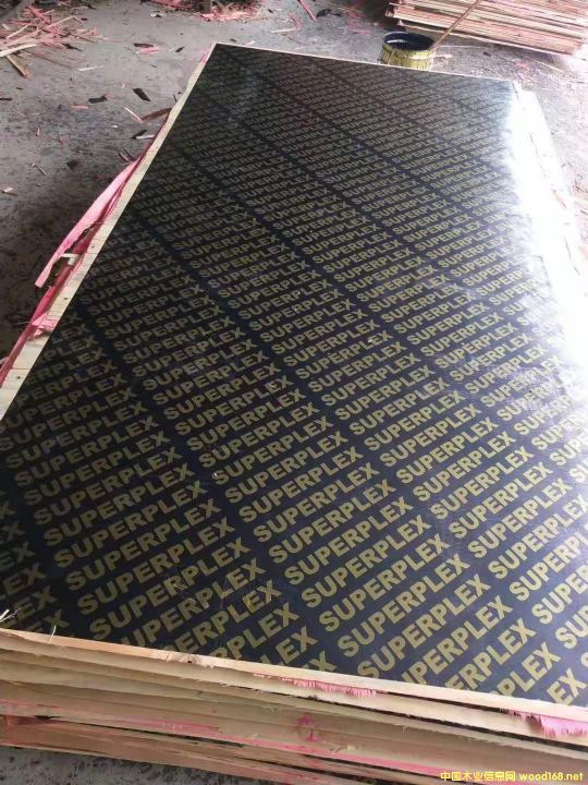 的詳細介紹