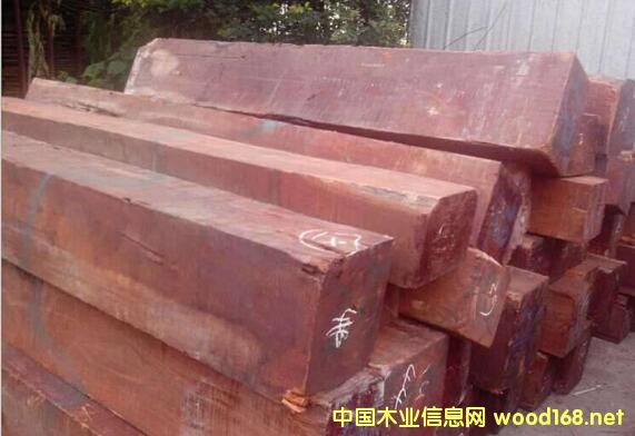 金車花梨進(jìn)入市場步伐加快